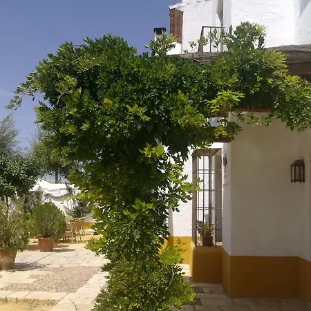 Hotel De Jose Mª El Tempranillo Alameda